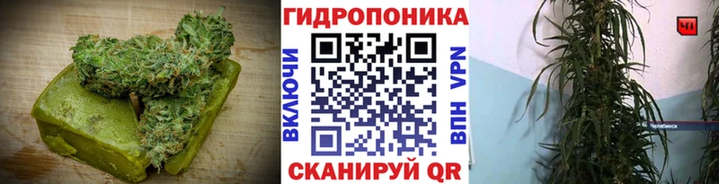где купить   Зима  Еда ТГК марихуана 