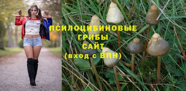 амфетамин Гусиноозёрск