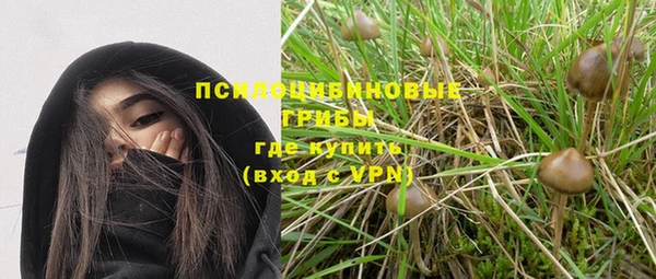 а пвп мука Гусь-Хрустальный