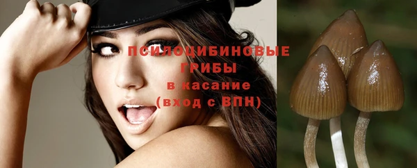 а пвп мука Гусь-Хрустальный