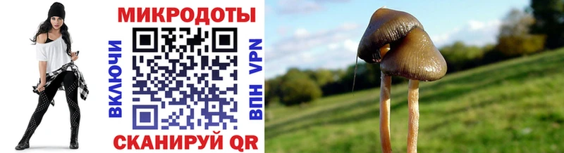 Псилоцибиновые грибы ЛСД  наркотики  Зима 