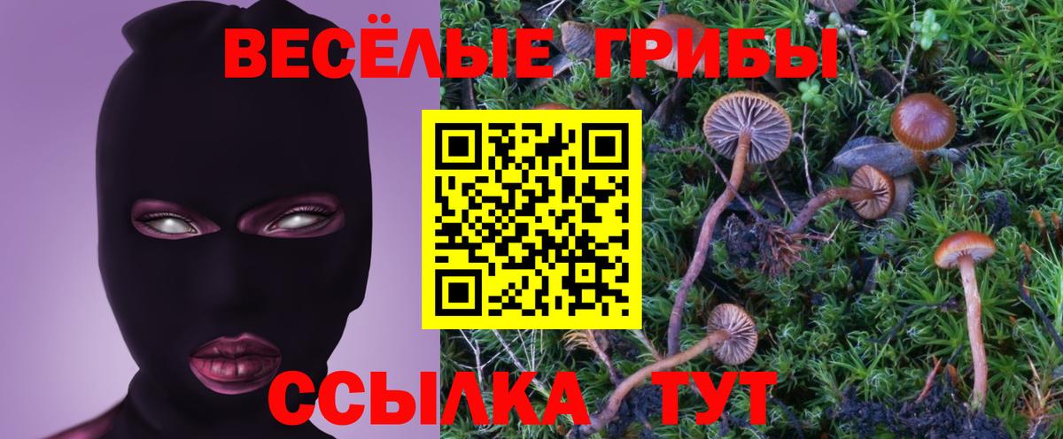 Псилоцибиновые грибы Magic Shrooms  Вход с VPN  Зима 